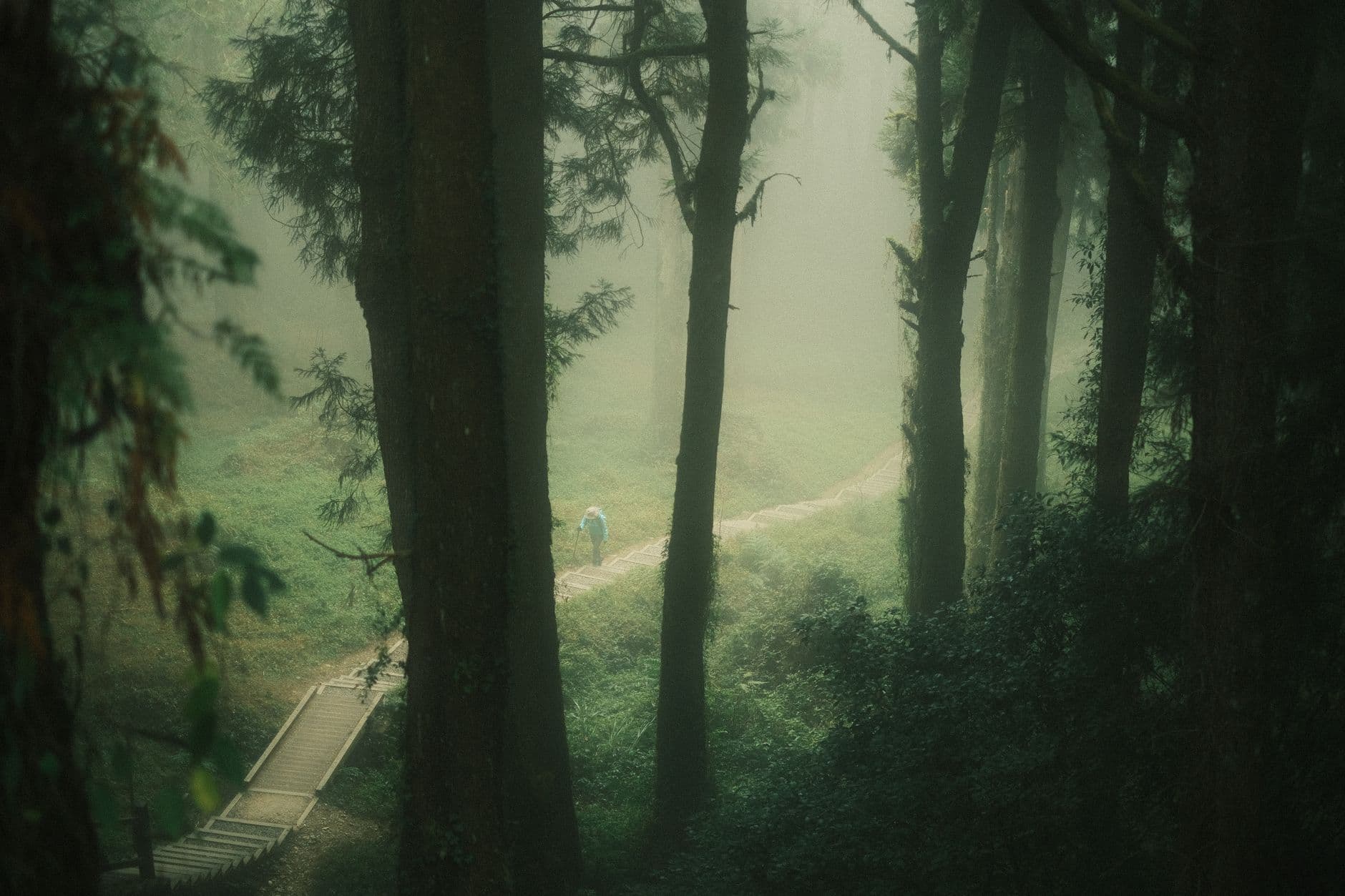 Forêt brumeuse et sentier de randonnée à Irati