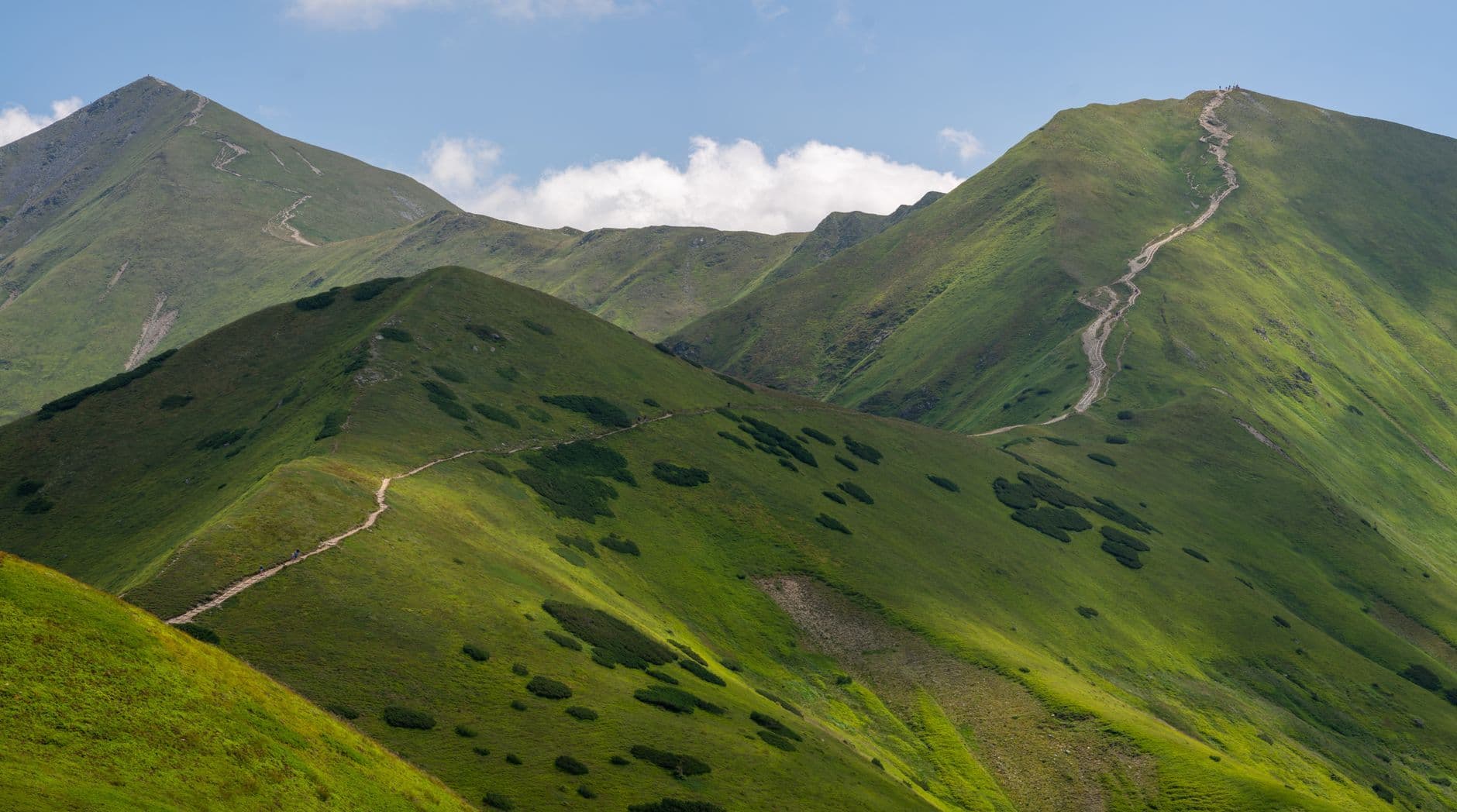 Sentier de randonnée en montagne, vue sur le sommet